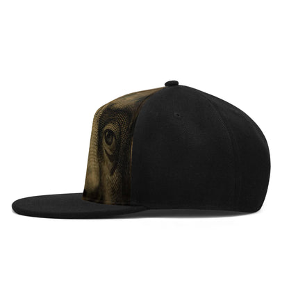 Benjamin Franklin Snapback Hat